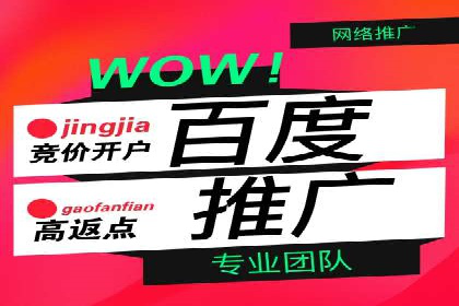 专业SEM托管助力企业快速成长案例分析